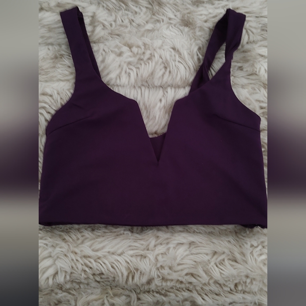 Plunge Crop top with Zipper